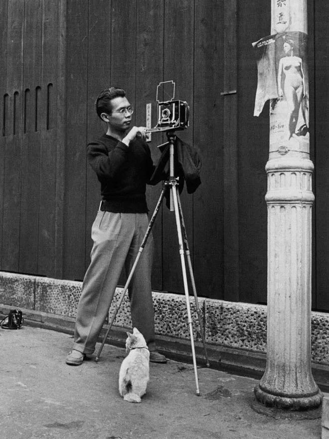 监理的外部性分析